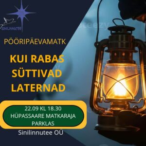 Kui rabas süttivad laternad